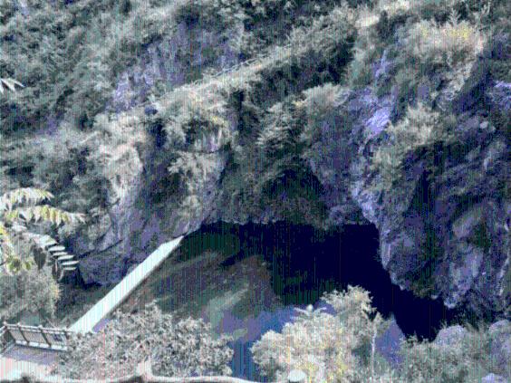 郎朗回应58岁建筑工人钢琴之约:为热爱生活的精神点赞