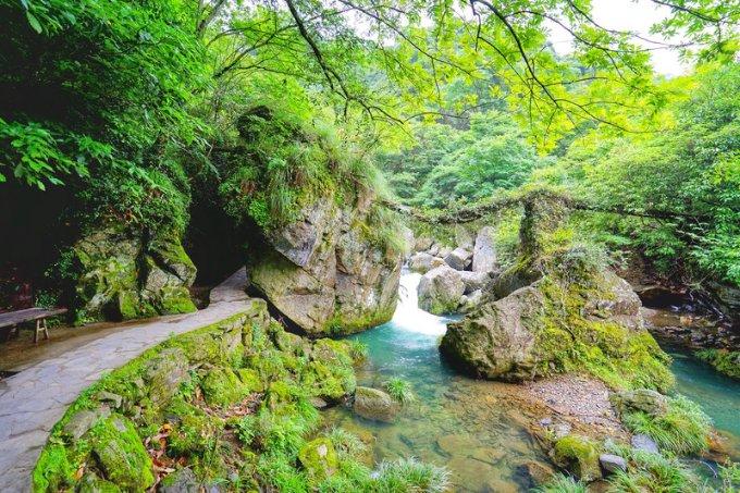 三亚努力营造良好旅游市场秩序 让广大游客来得开心 玩得开心 游得更放心