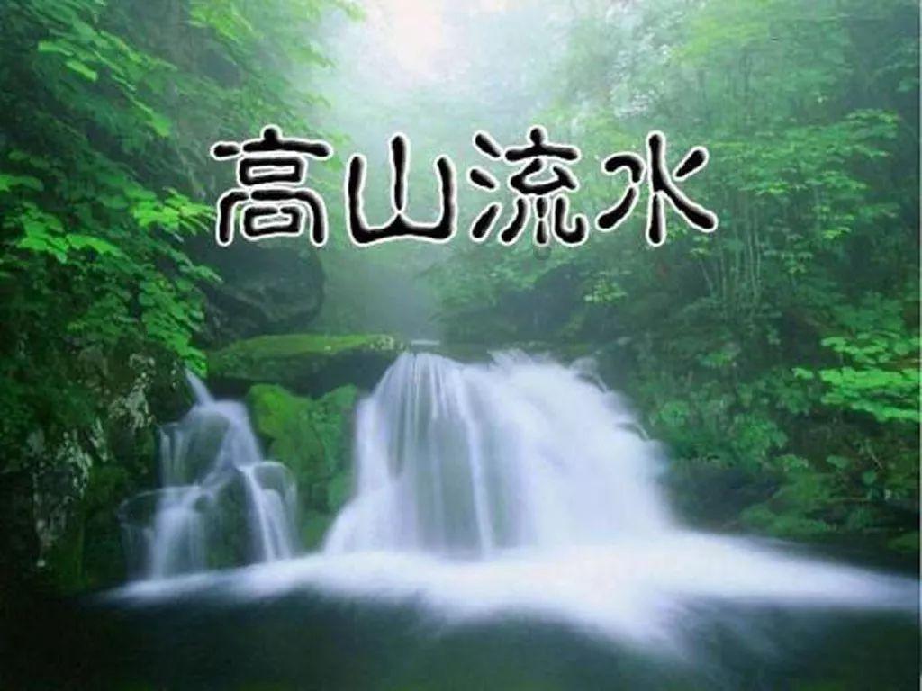 全省新阶联新年“新作为”，“地域+领域”助力百千万工程